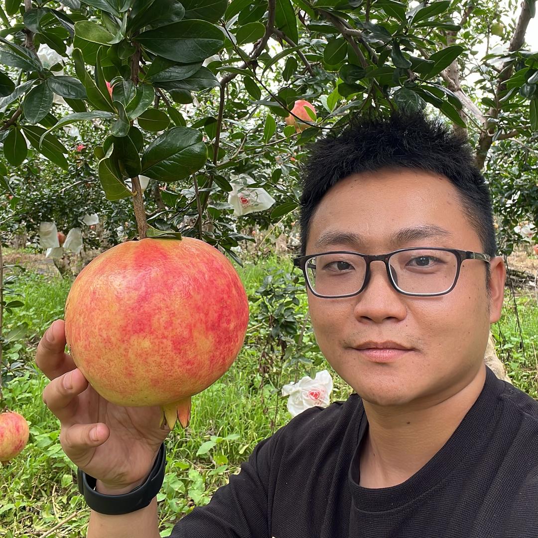 秭归果源地