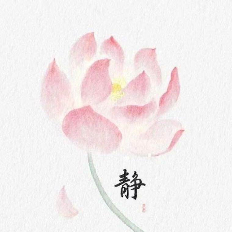 玄灵（卦师📿）