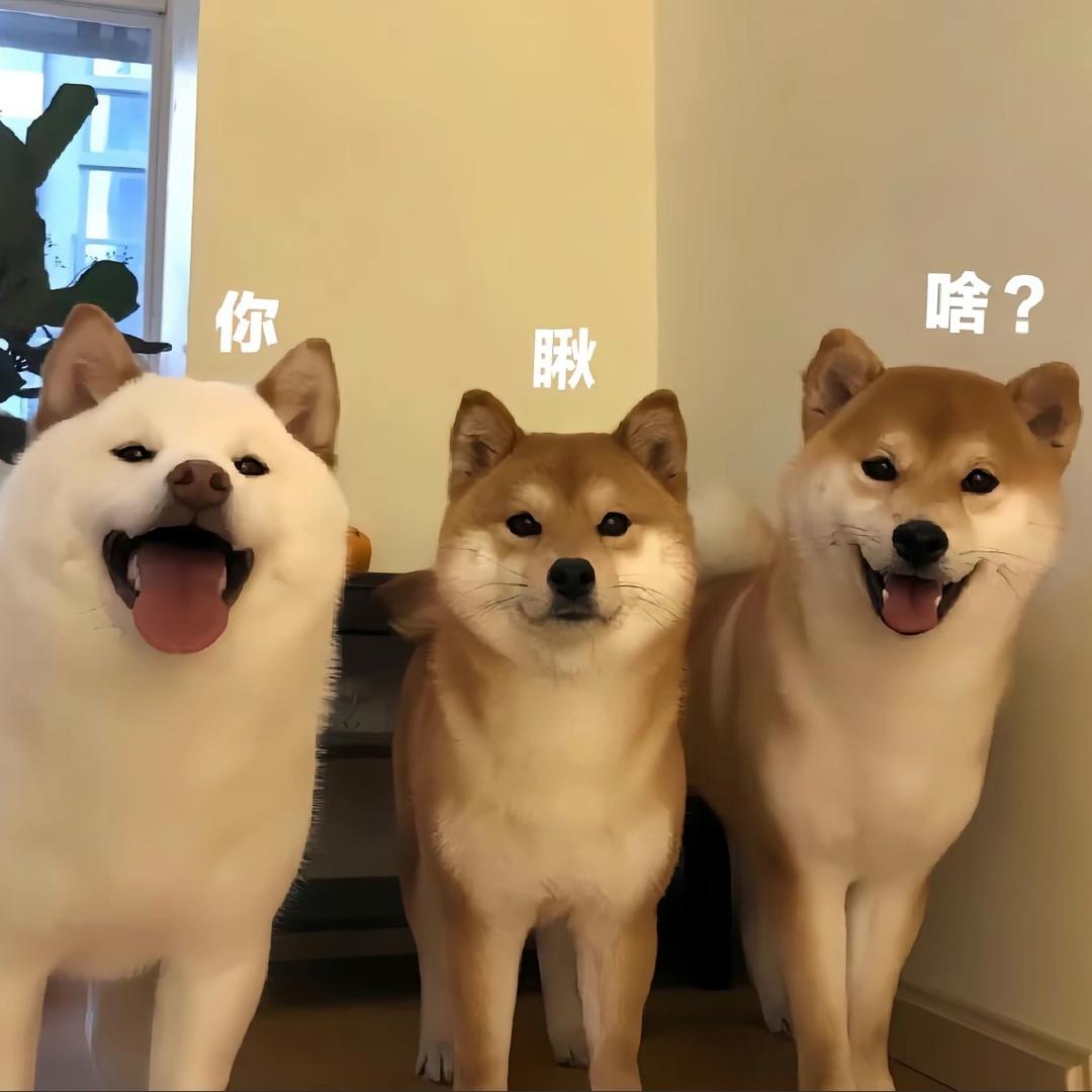 没有名字的小叶