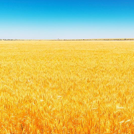 赵昕阳《春之声》合唱团声乐班