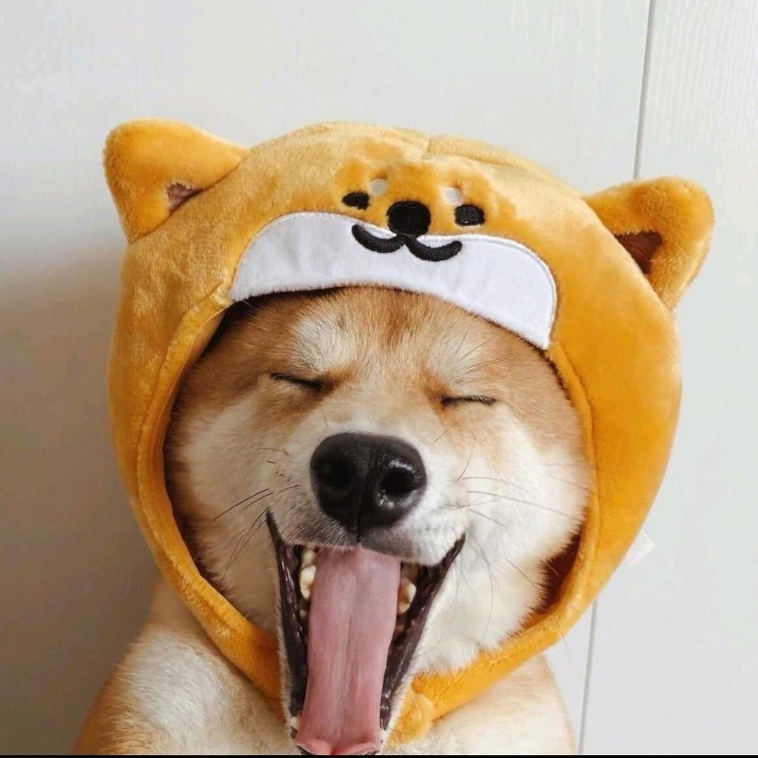 暴富幸运星