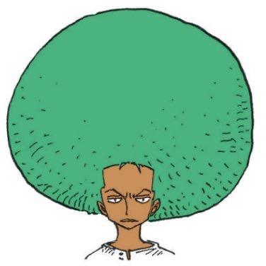 索隆ฅ˙Ⱉ˙ฅ