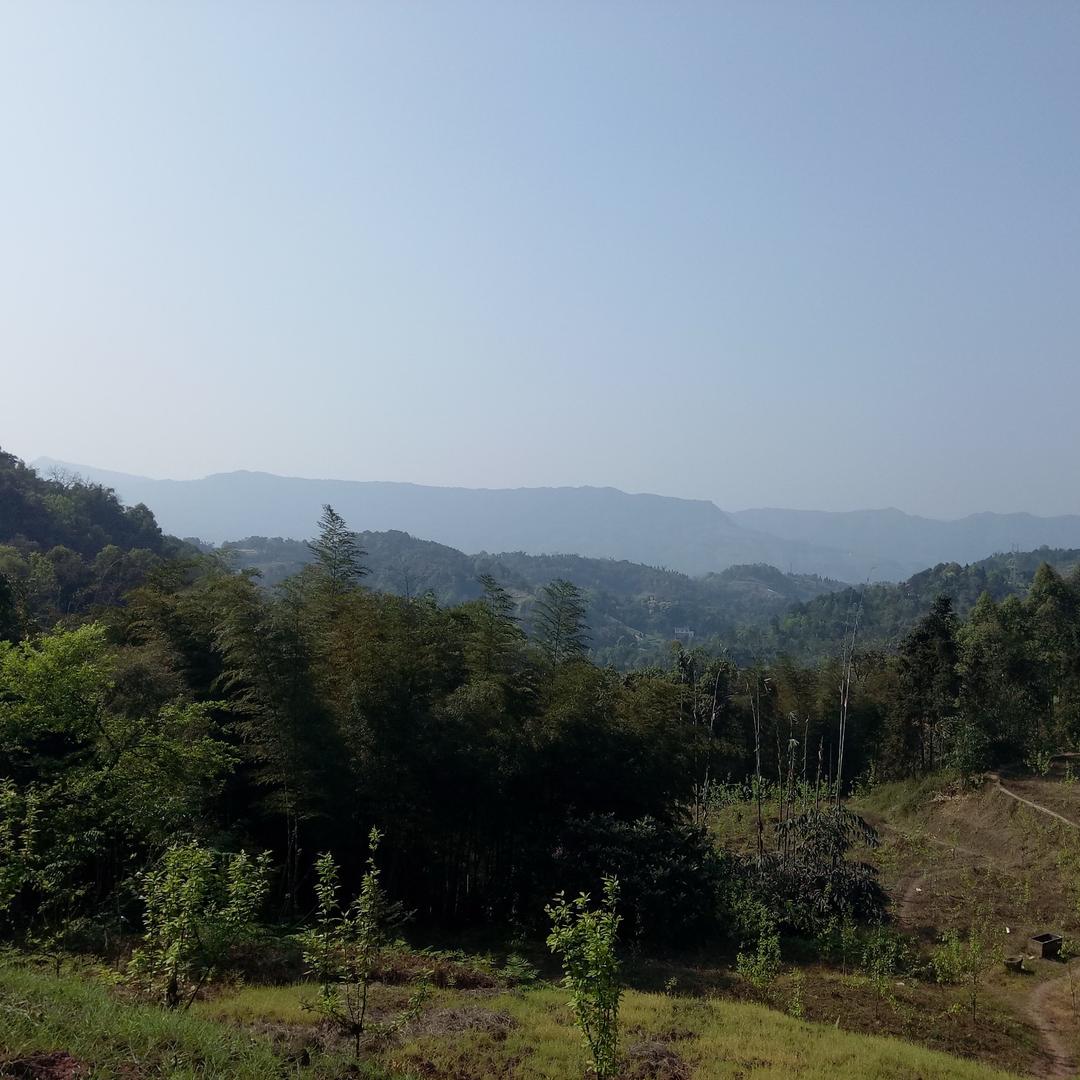 知否知否，应是你肥我瘦