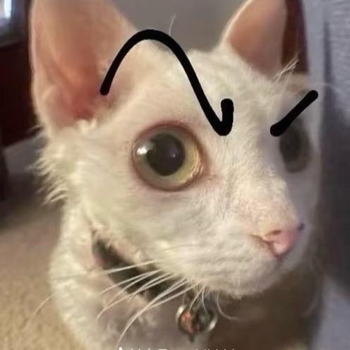 O.o