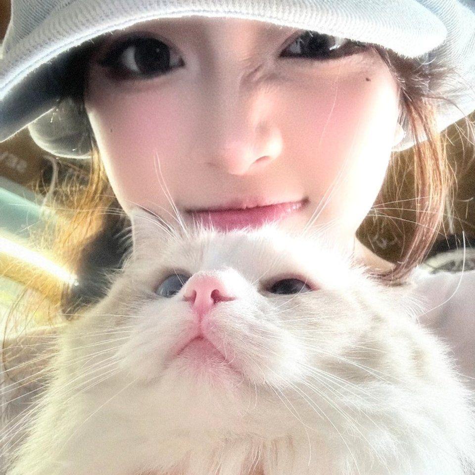猫咪那个喵