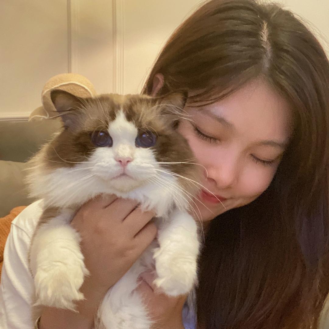 🌈一颗臭肉圆儿