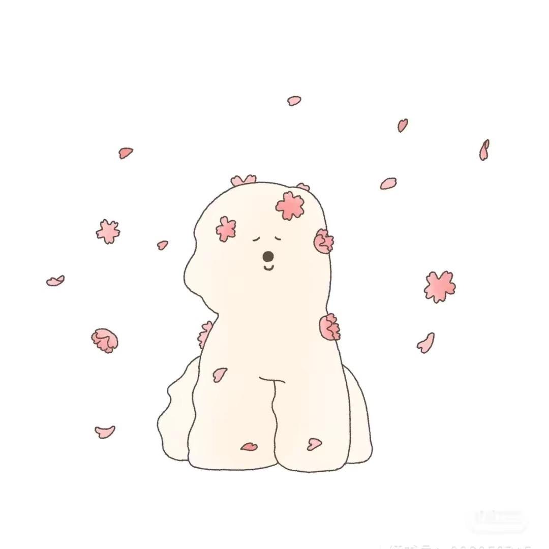 🐯🐯
