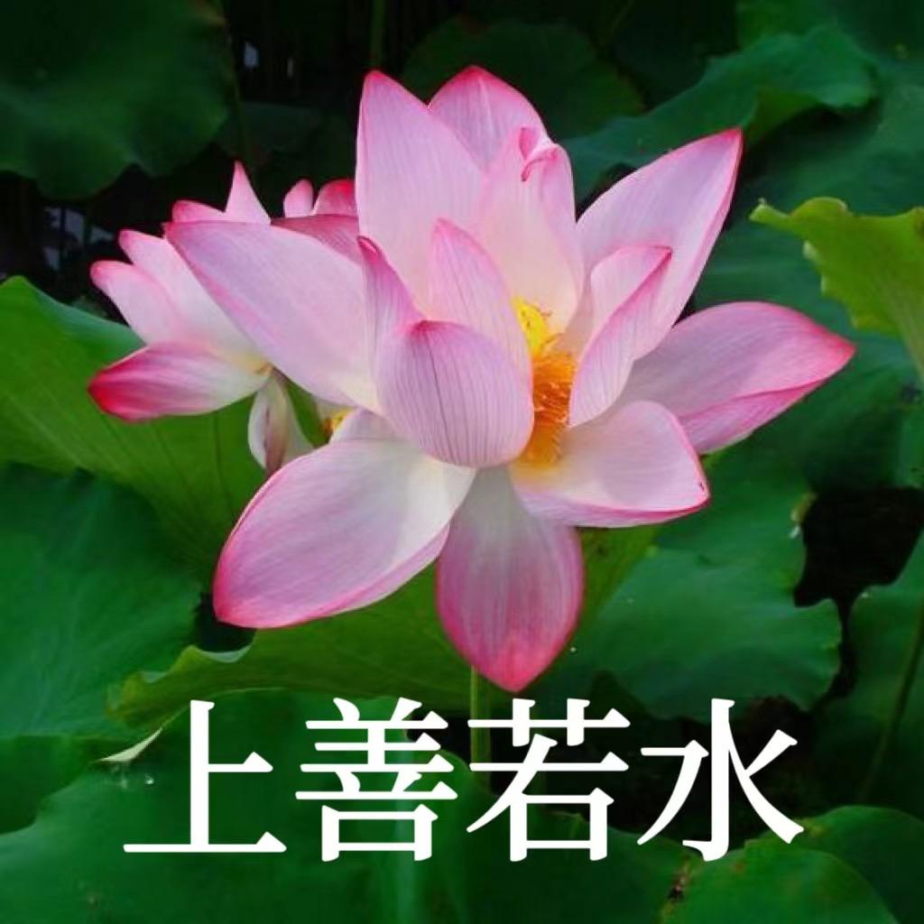 擒不住