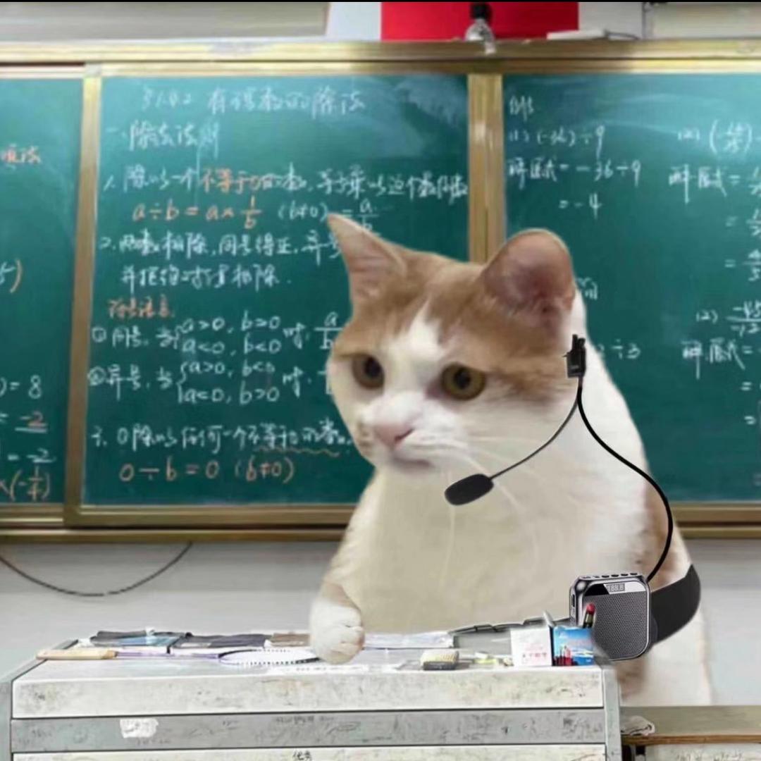 橘子包