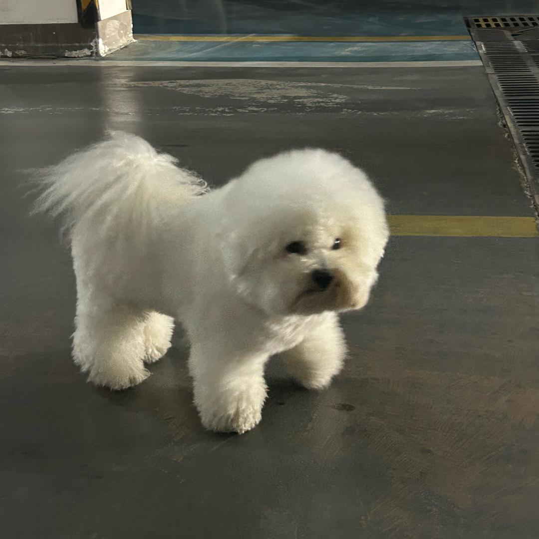 李钱多