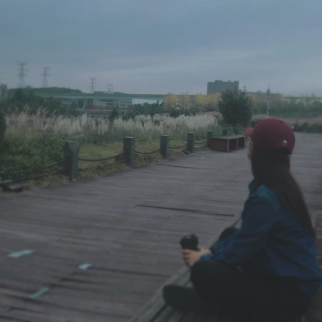 珊珊•