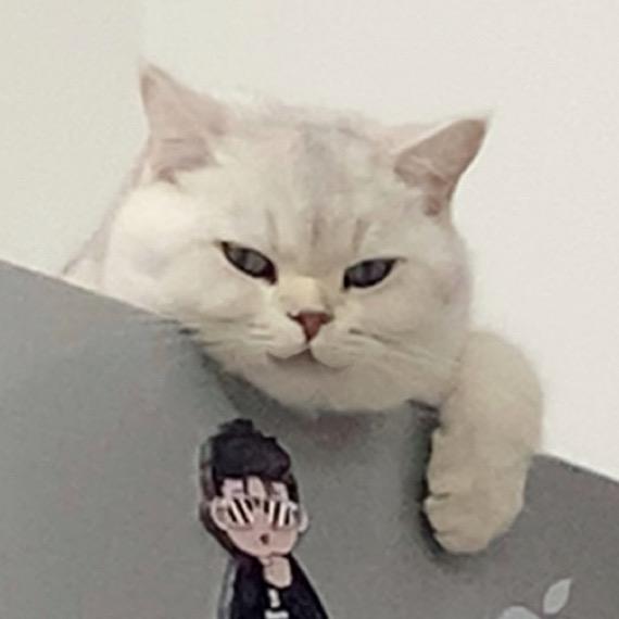王啾咪一家