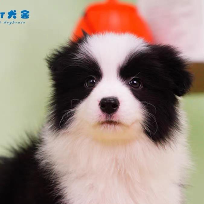 万般宠爱5