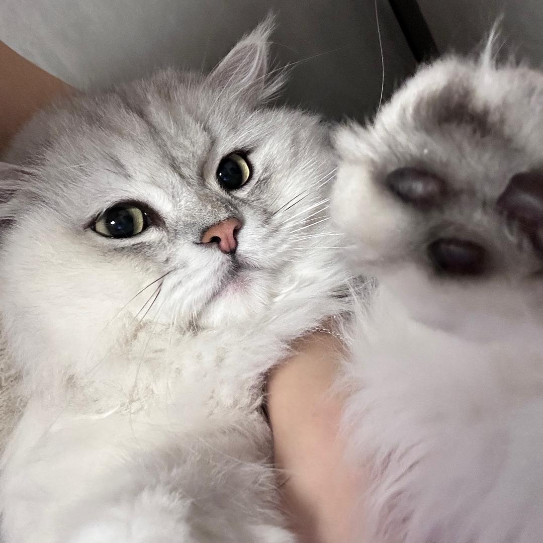 M.m..