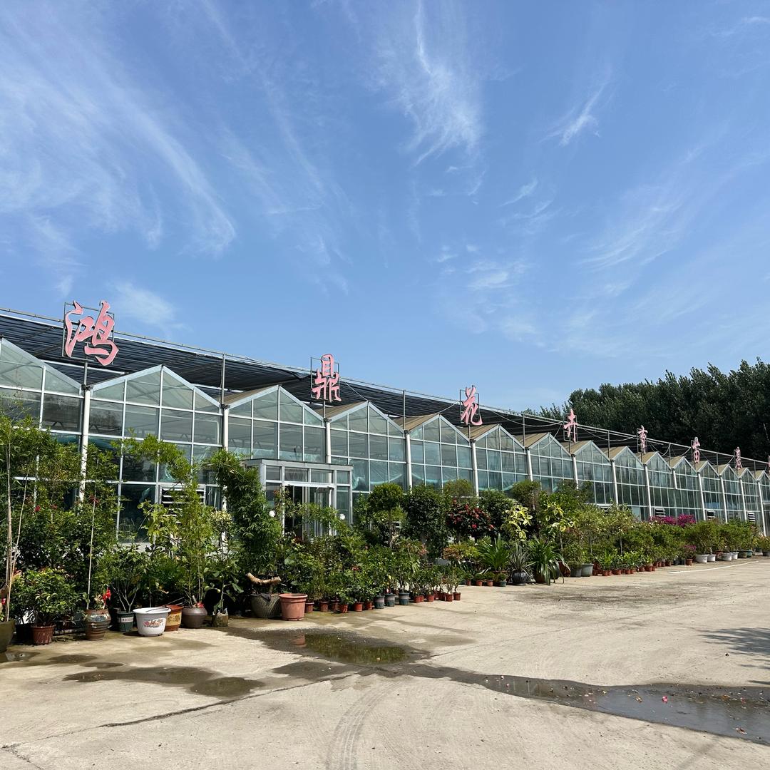 唐山市乐亭韩坨鸿鼎花卉批发市场