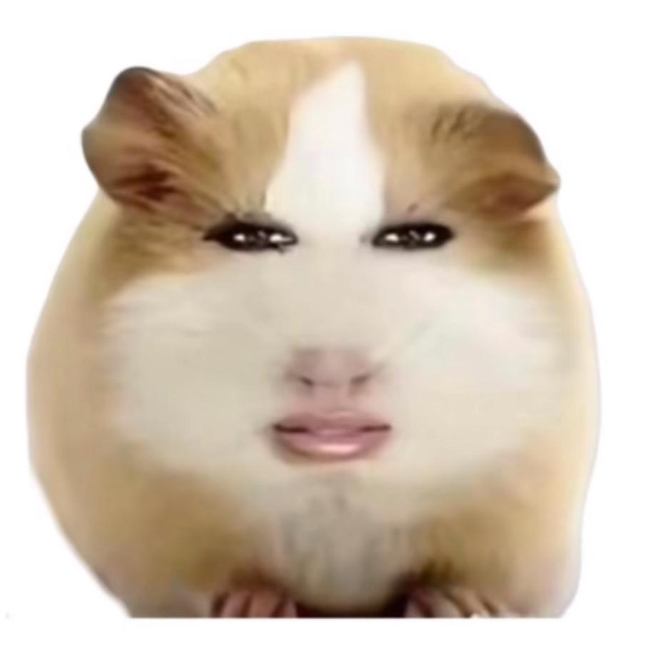小炜炜