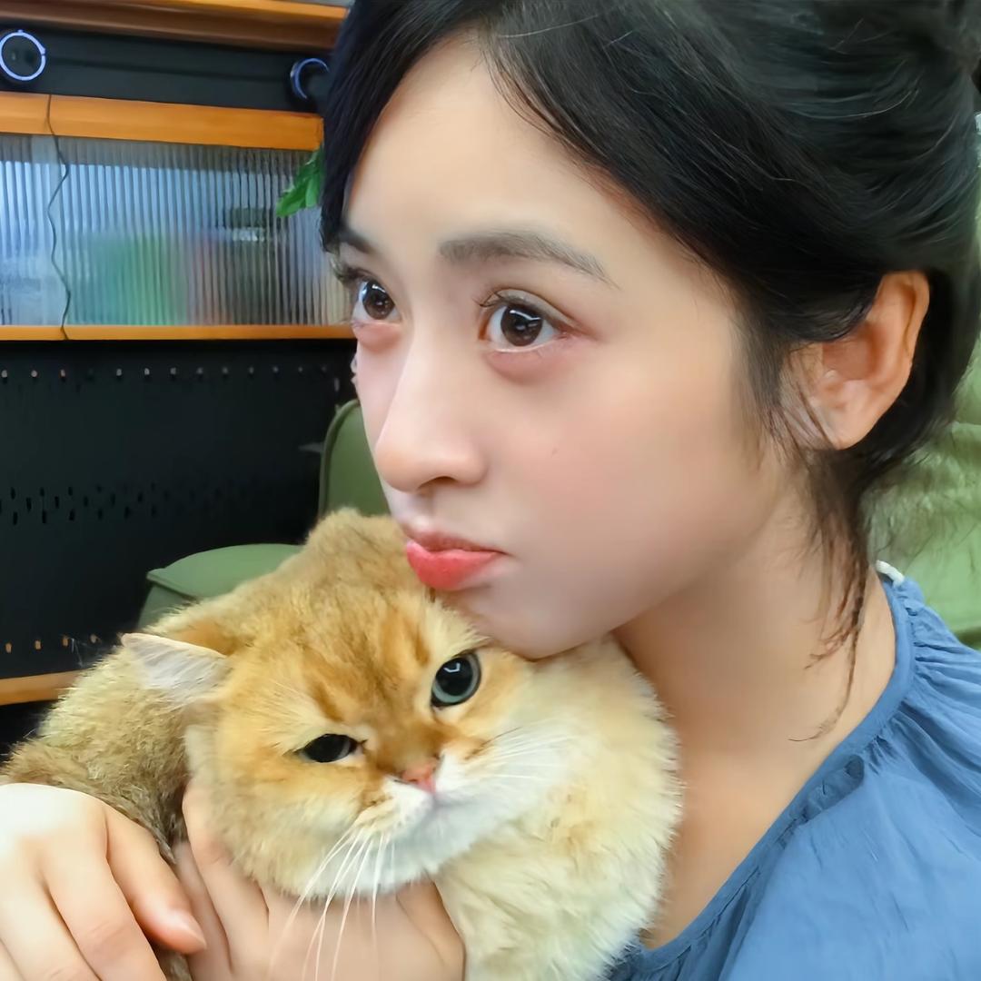 >﹏<