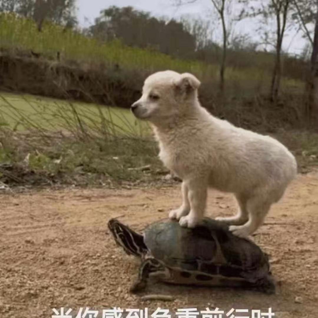 不甜