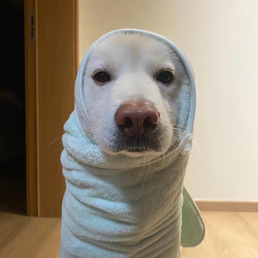 好想