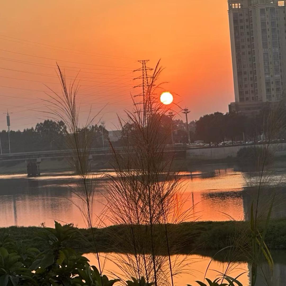 是小肚呀