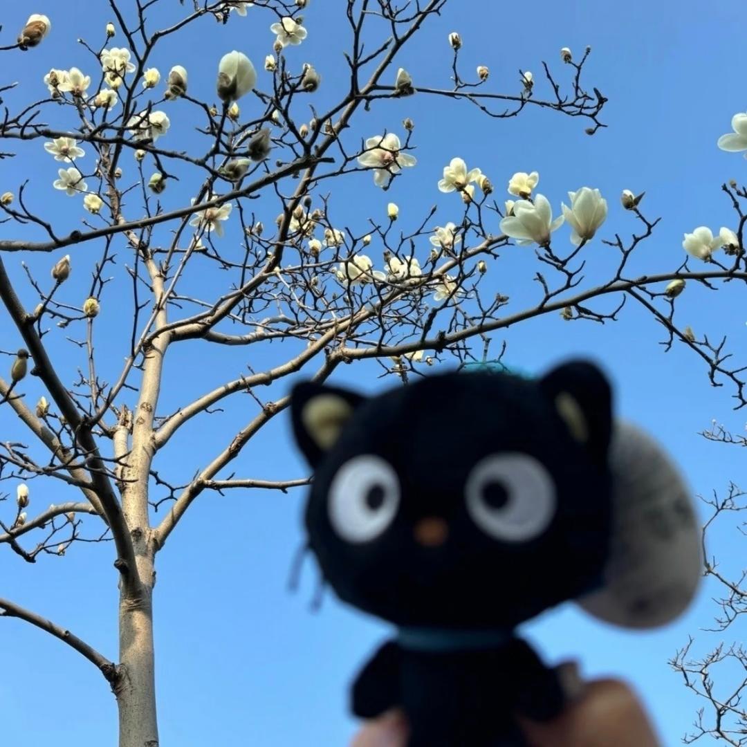 甜甜圈