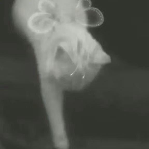 匆匆