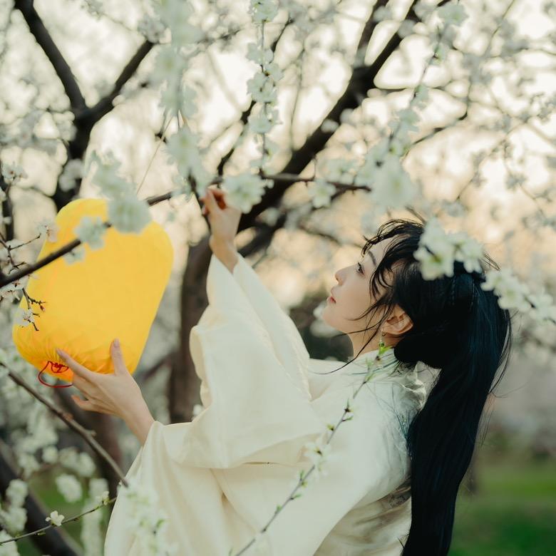 一只小桃z
