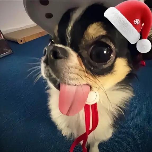 城市套路深我要回农村