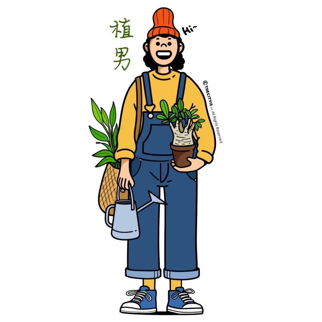 植男栀子花苗
