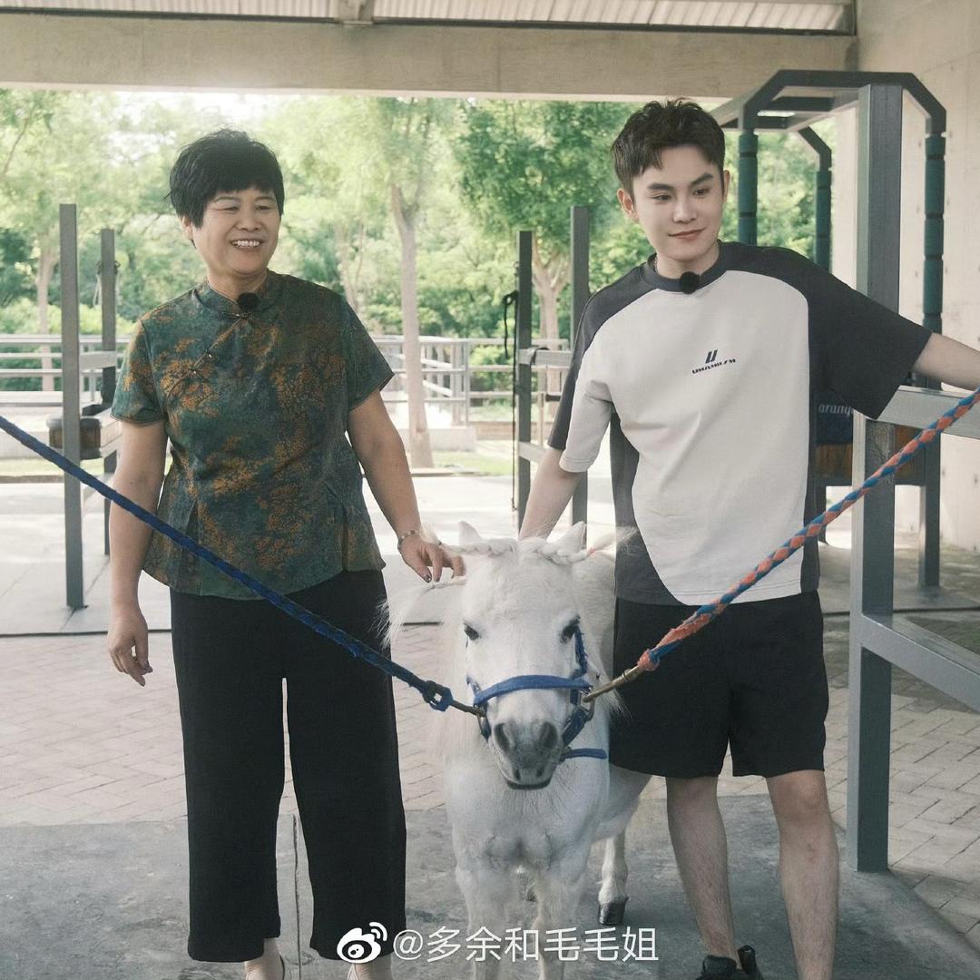 毛毛姐和阿姨
