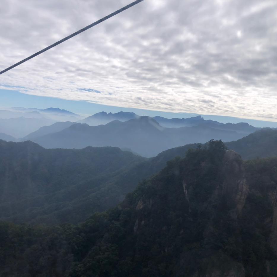 零下九度