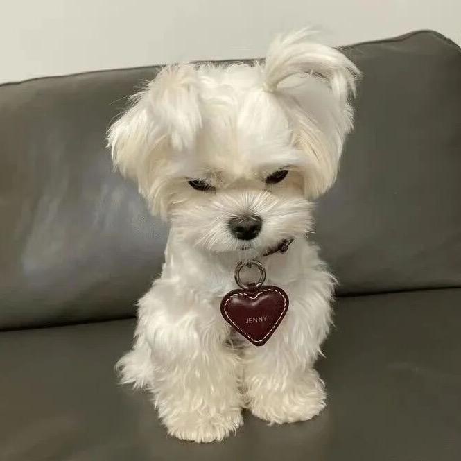 猛亲哑巴那张好嘴