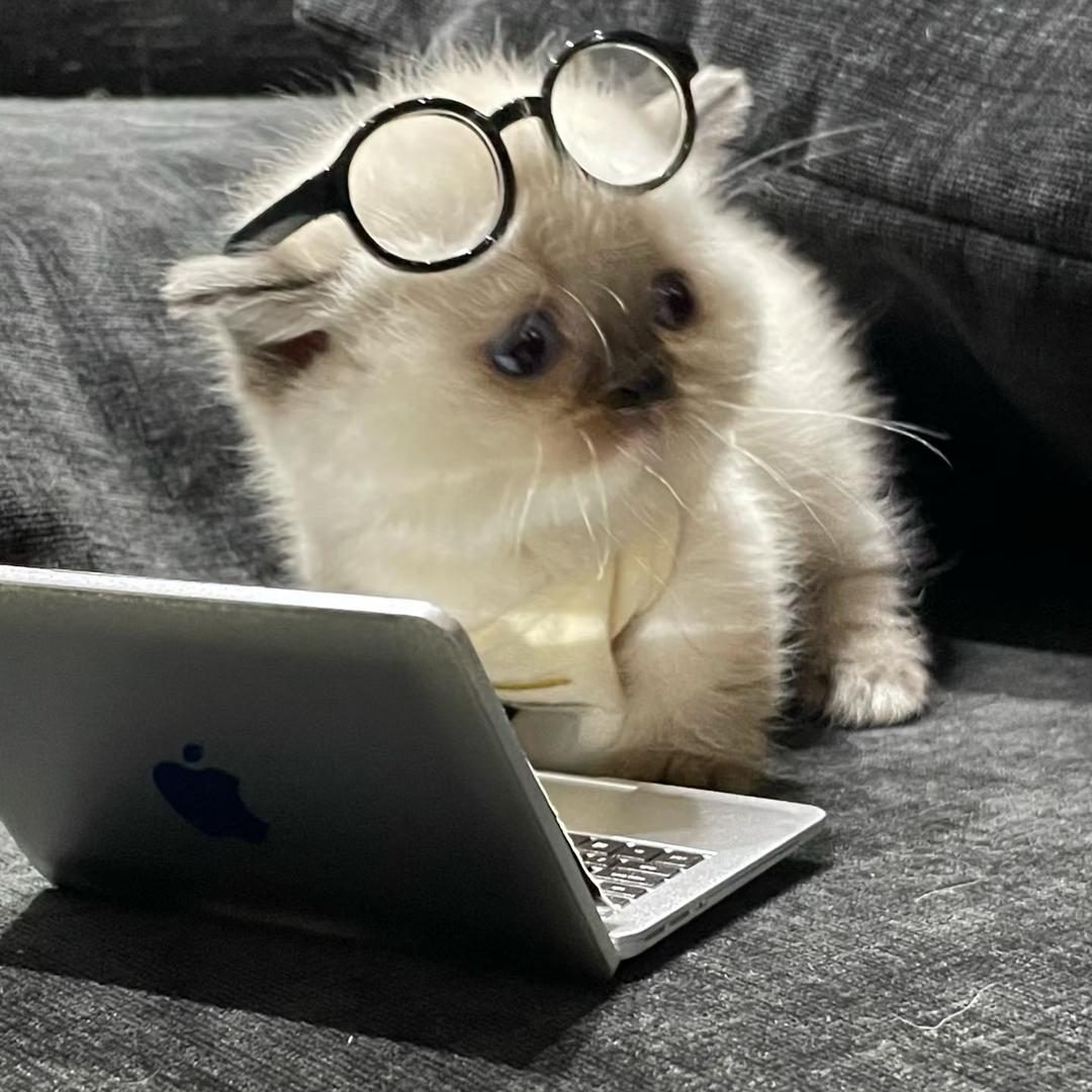 线上口语外教一对一