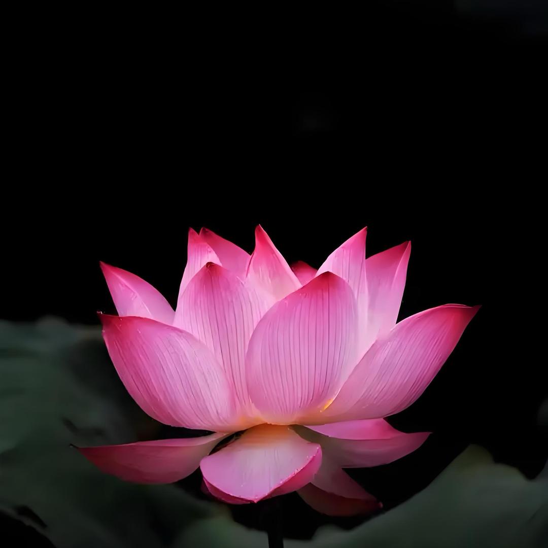 马年红绳