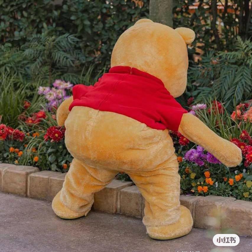 𝐖𝐢𝐧𝐧𝐢𝐞 🌻