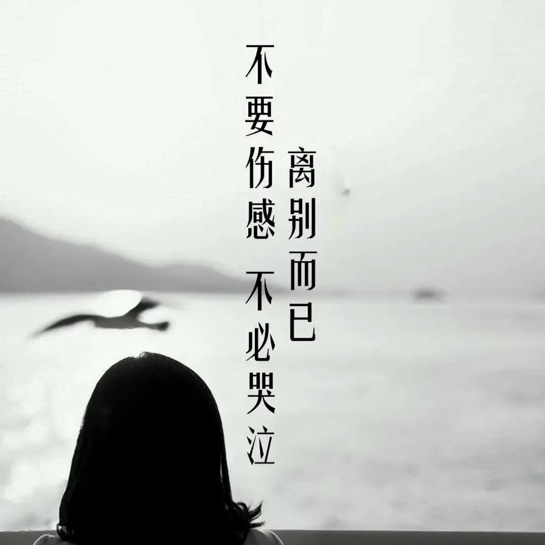 杨小超