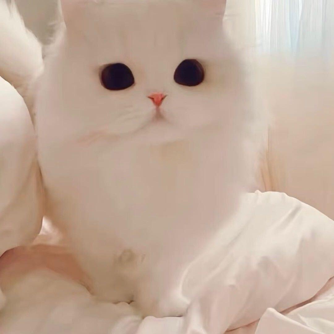 天气