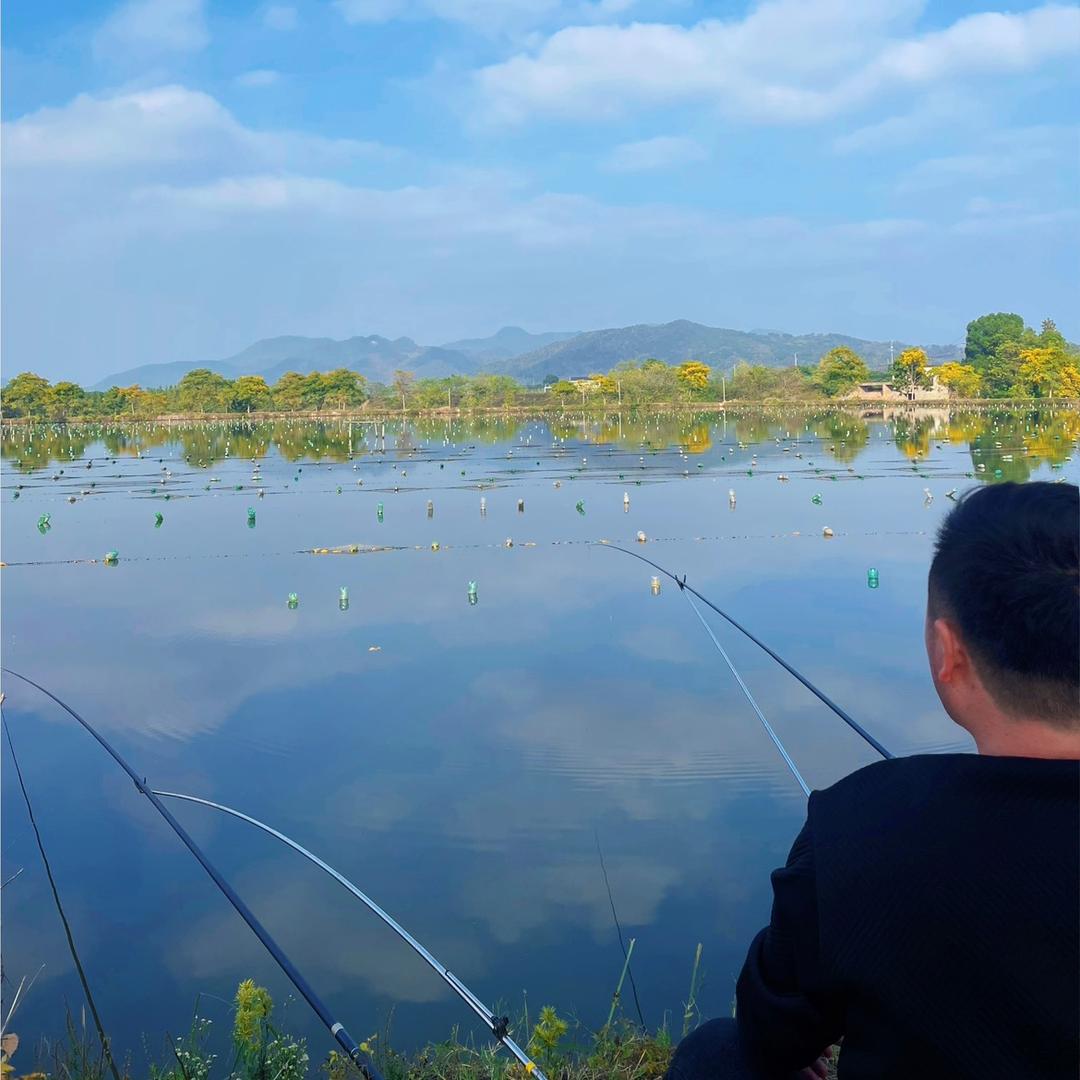 池州野生鱼虾专送