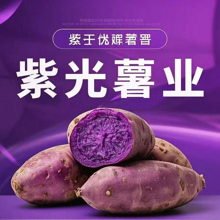 紫光薯业