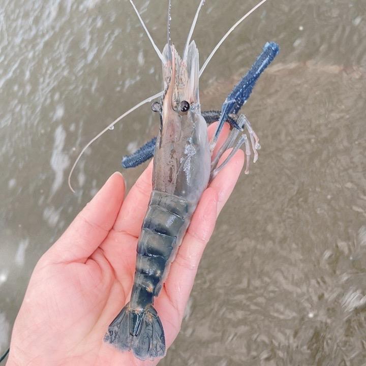 水产养殖基地