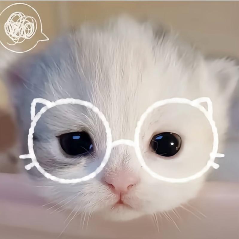 涵子