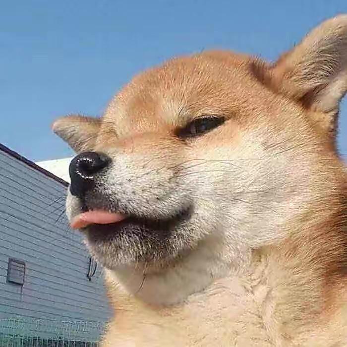 带头大哥