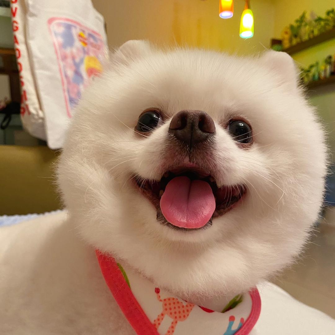 🌈小哈胖