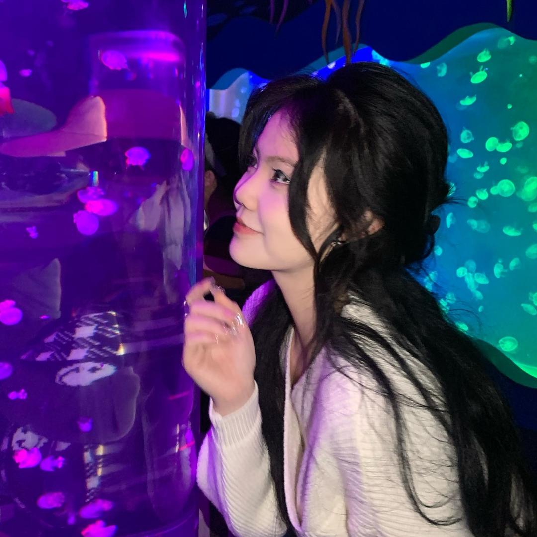 包子Bb