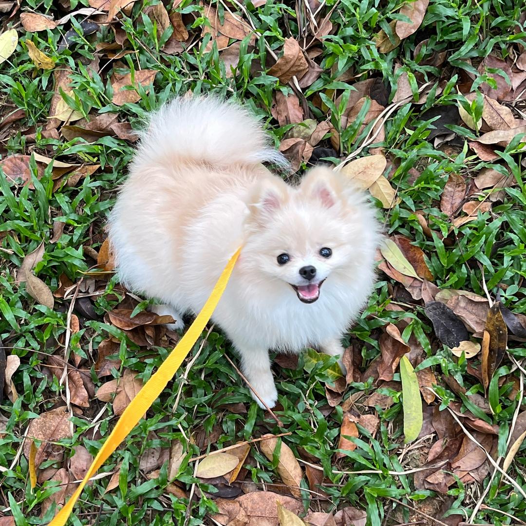 康小宝我饿了😋