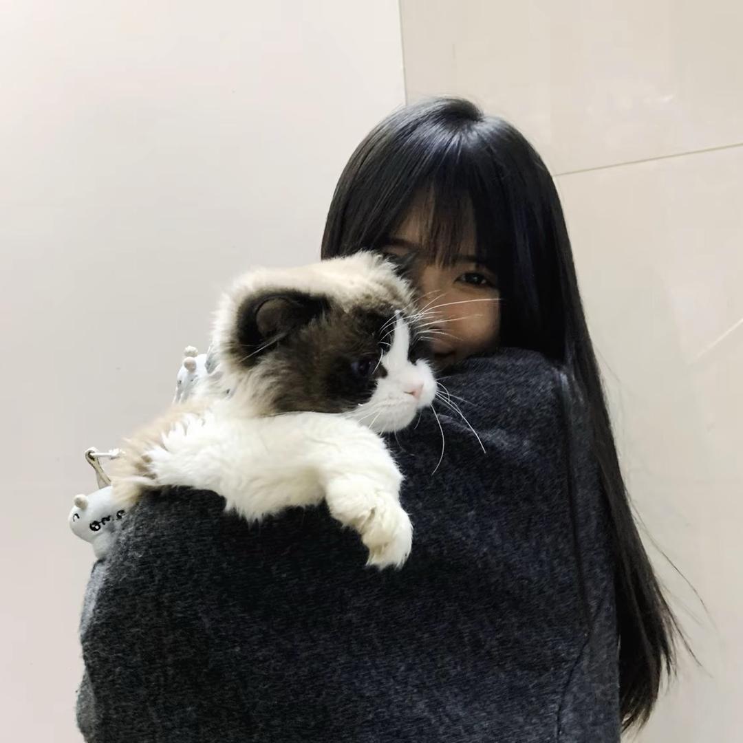 美琪、