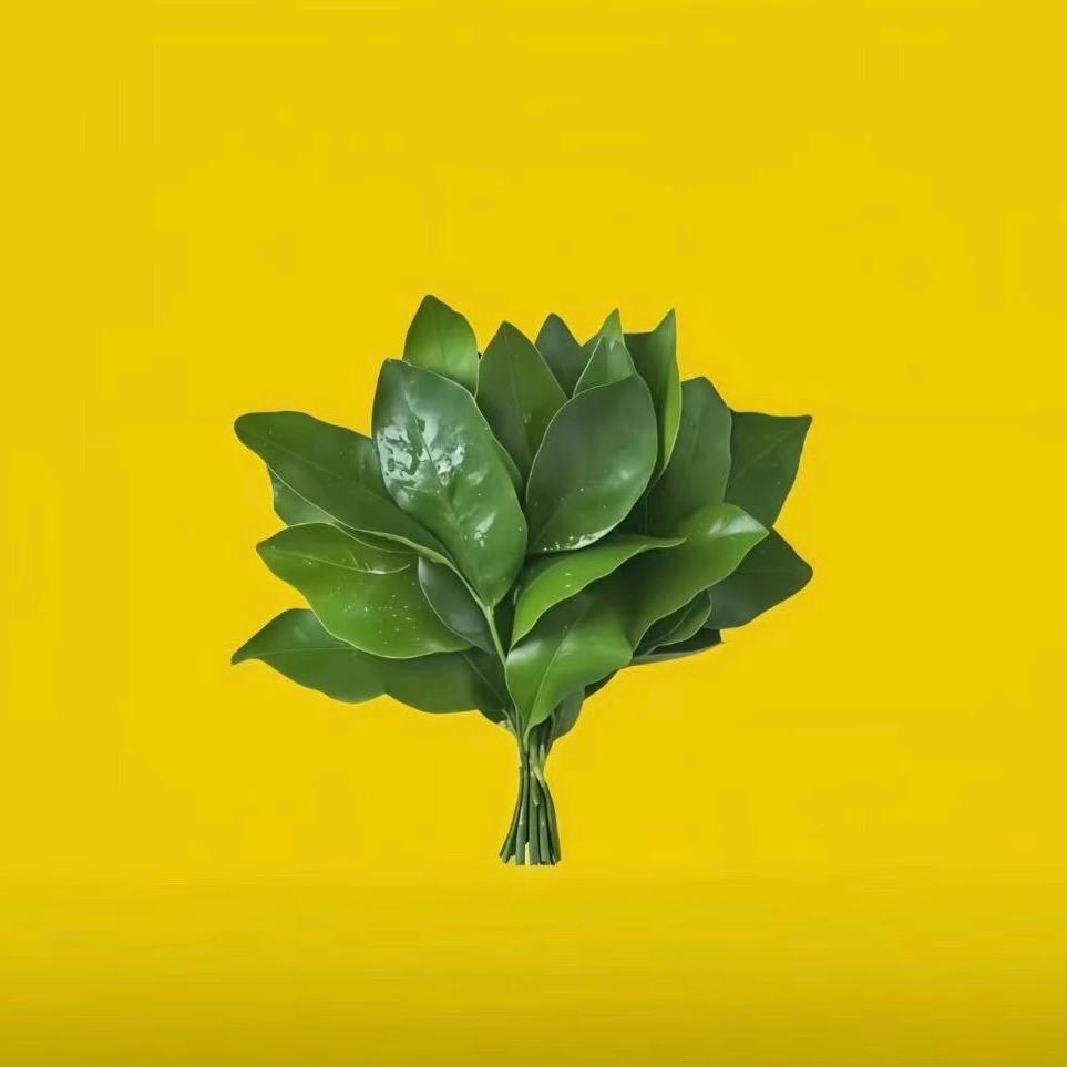 曾不得了