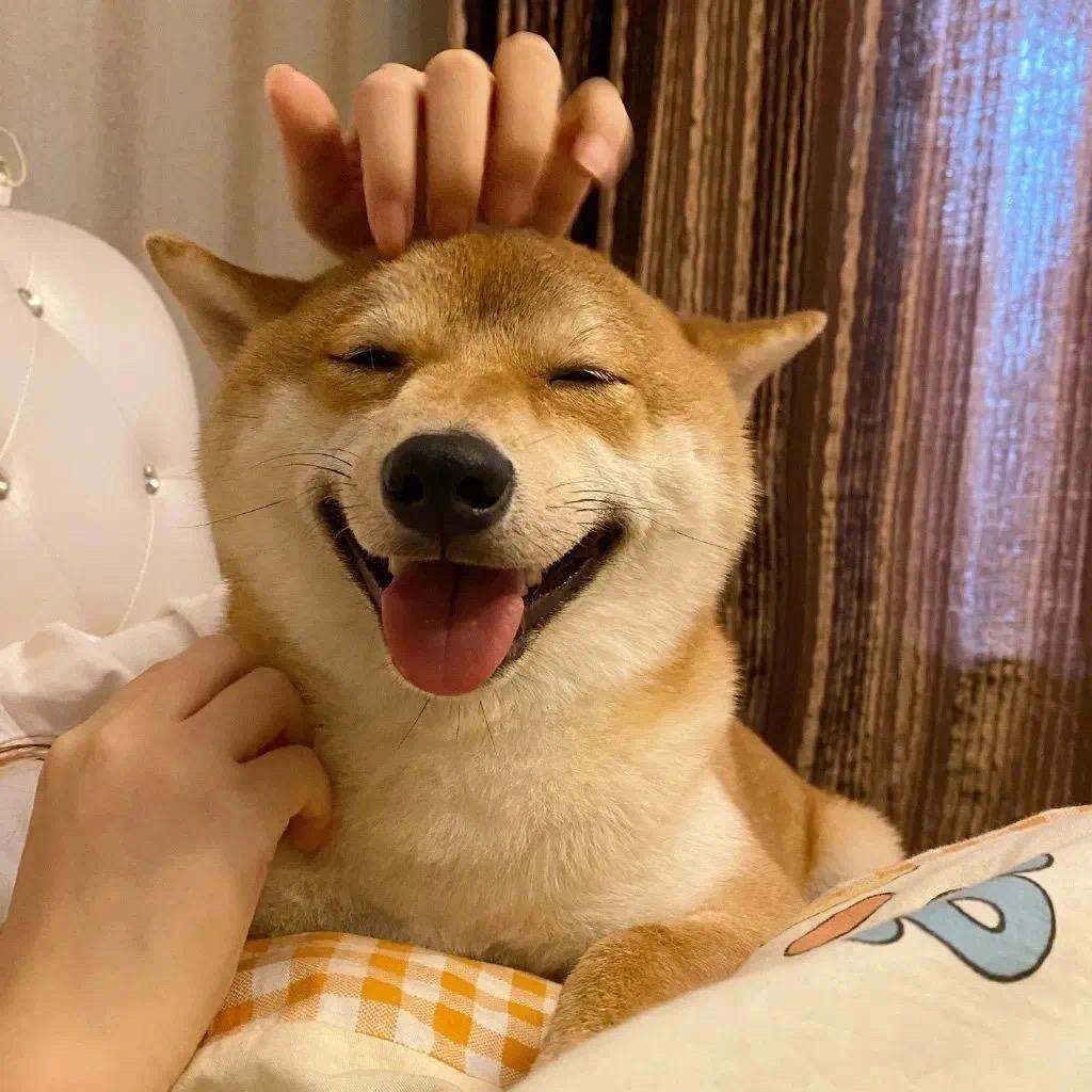 糕手卡莎