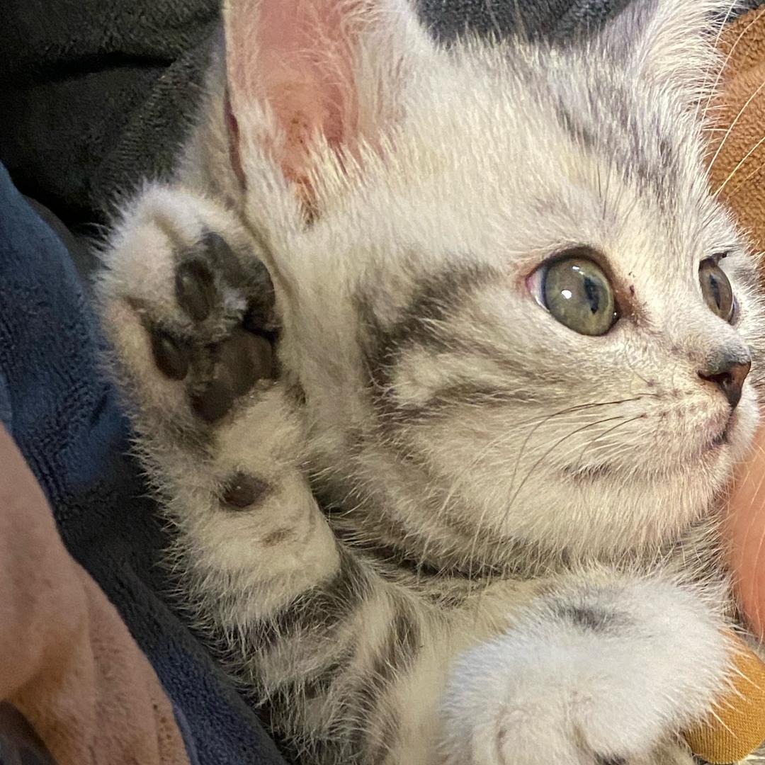 笑嘻嘻笑嘻嘻笑嘻嘻