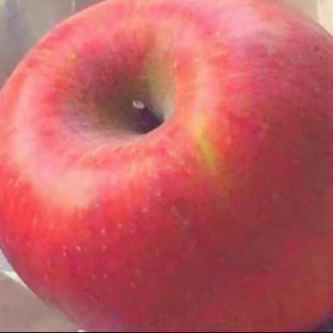 AAA贝狗儿批发敏姐